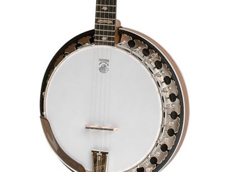 Deering Boston 5 Banjo 5 String Online now